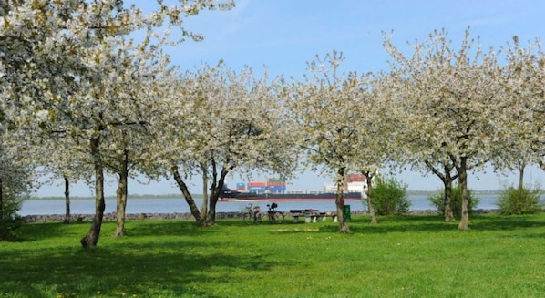 Imagen sin descripción, 1 de 38, botón