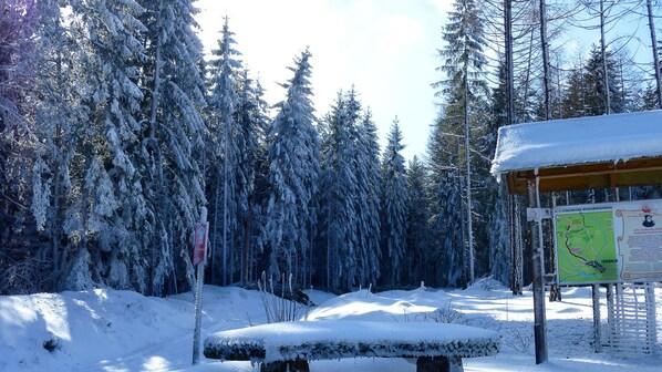 Terrain de l’hébergement 