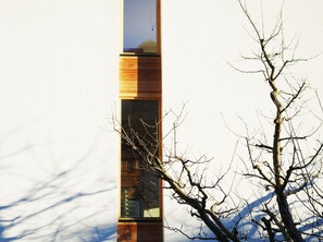 A building with a vertical wooden panel, a window, and a bare tree in front. - Holztau, Pfunds, Austria (Pfunds)