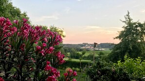 En have med lyserøde blomster og et fuglehus på en stang.