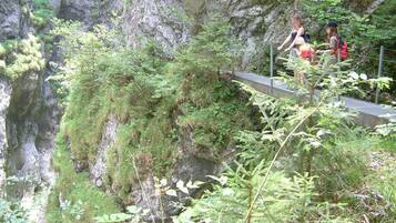 Un pont étroit, entouré d’une nature préservée et bordé d’une falaise rocheuse.