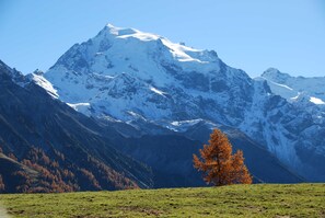 Imagem sem classificação, 4 de 40, botão