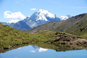 Imagem sem classificação, 5 de 40, botão