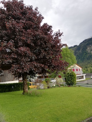 A building with a red facade, a parking area, and a tree with red leaves.