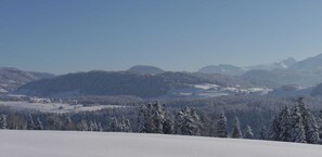 Unclassified image, 2 of 17, button