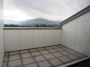 Unclassified image, 4 of 17, button