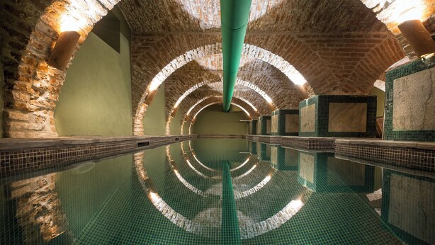 An indoor swimming pool with a mirrored ceiling and stone walls. - Castle Hotel Daniel (Bradut)