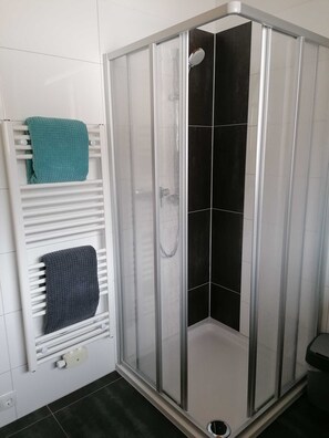 Shower, hair dryer, towels