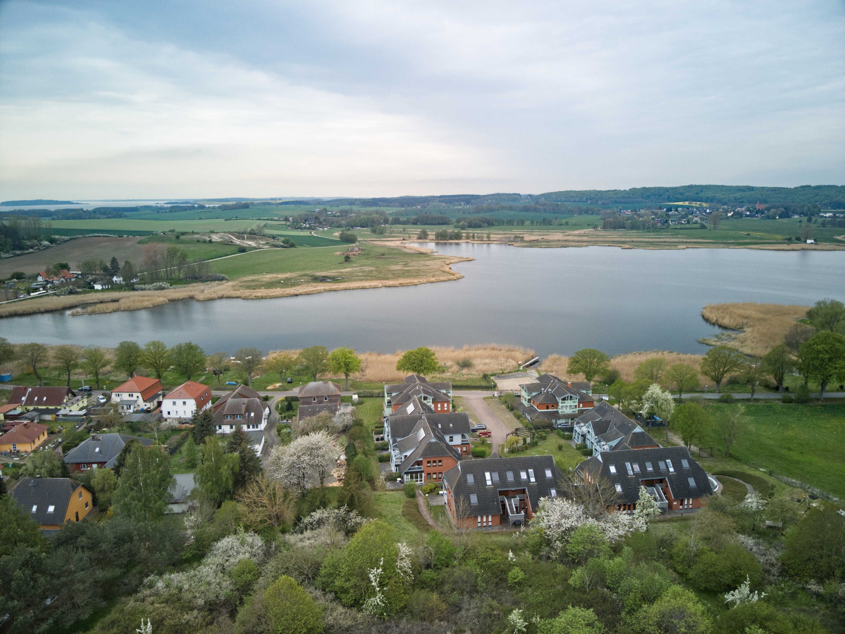Zona residencial con casas, un lago y vegetación circundante.