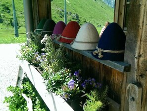 A wooden shelf with colorful hats and a row of potted plants.