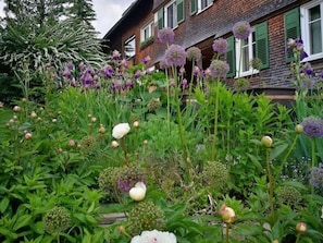 Un jardín con diversas plantas y flores frente a una casa de ladrillo con contraventanas verdes.