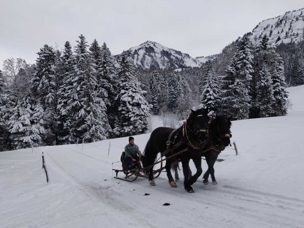 A snowy landscape with a horse-drawn sleigh.