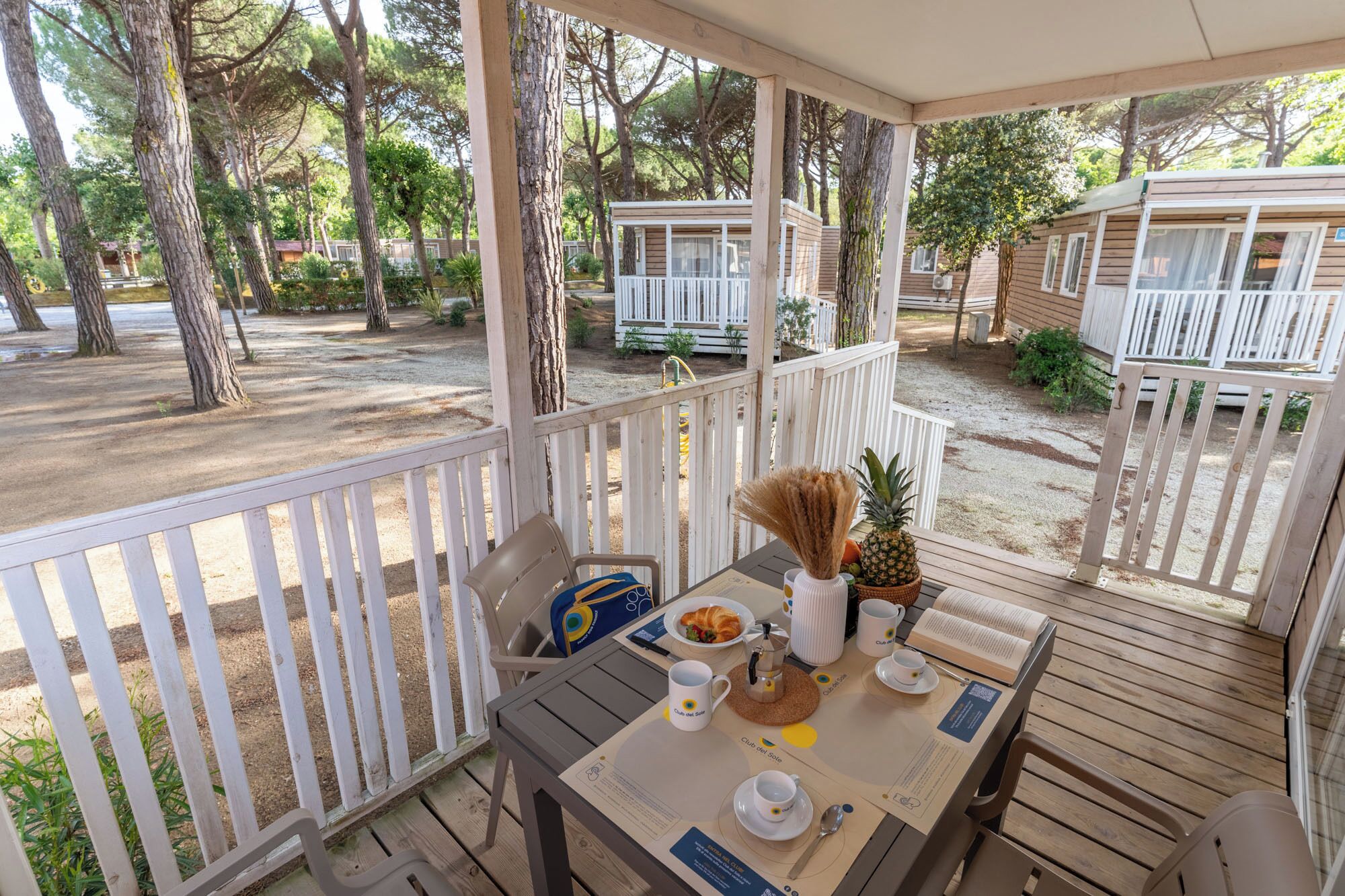 Lodge Comfort | View from room