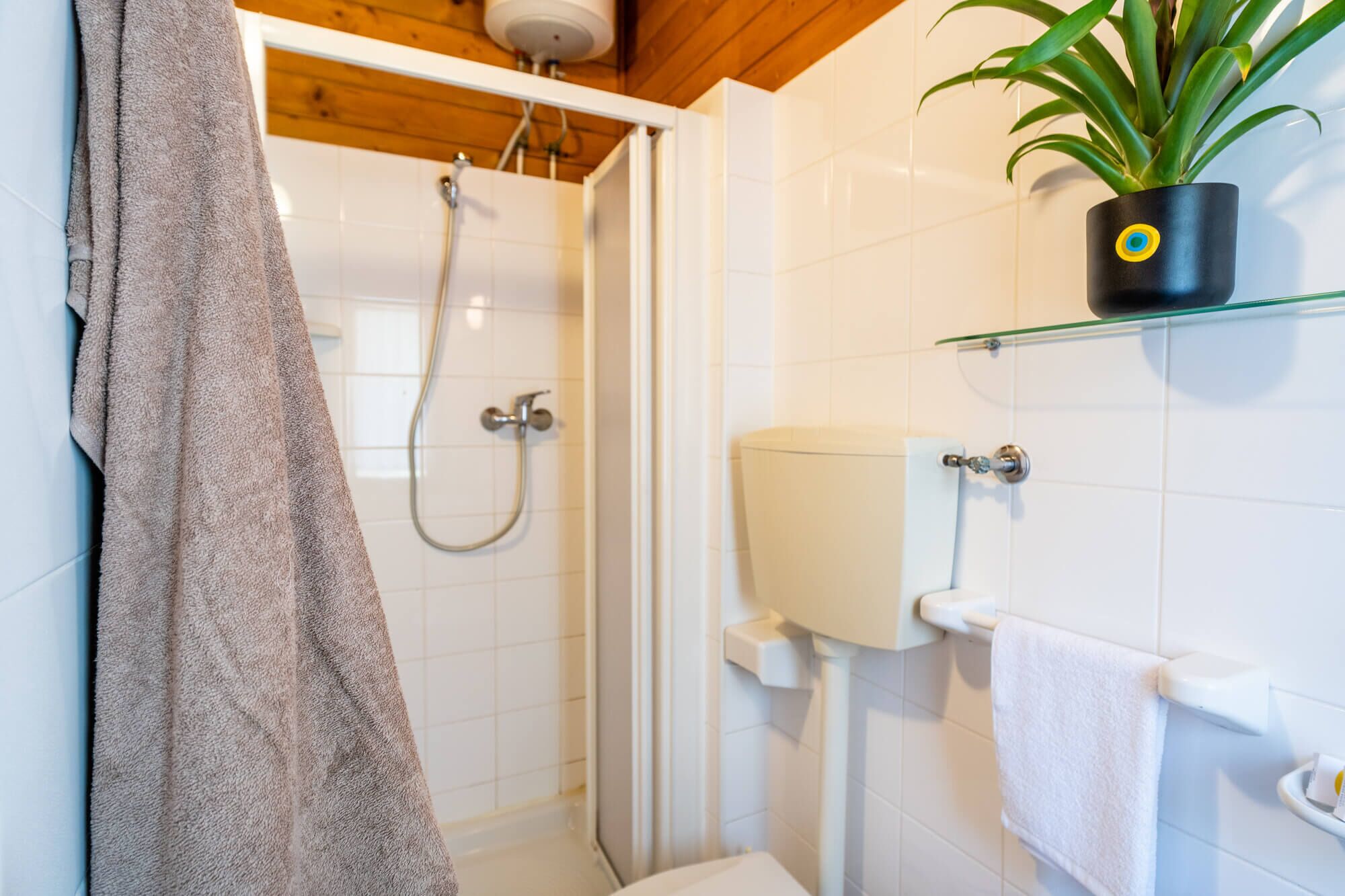 A bathroom with a shower, toilet, and a shelf with a plant.