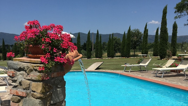 Une piscine bordée d’un muret en pierre et agrémentée d’un pot de fleurs, entourée de chaises longues et offrant une vue sur les arbres et les montagnes.