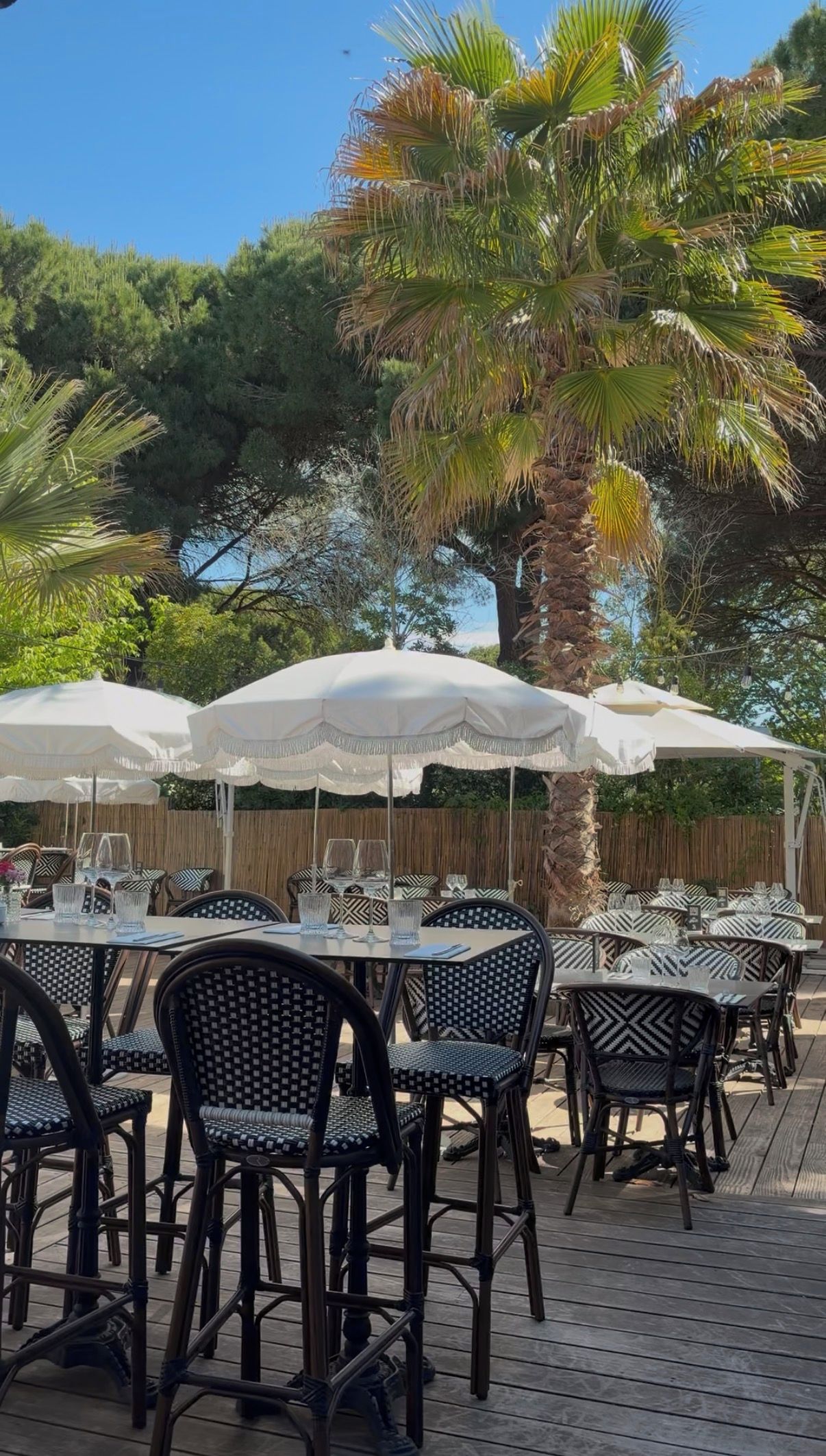 Un espace de restauration en plein air, avec des tables et des chaises, entouré de palmiers et agrémenté de parasols.