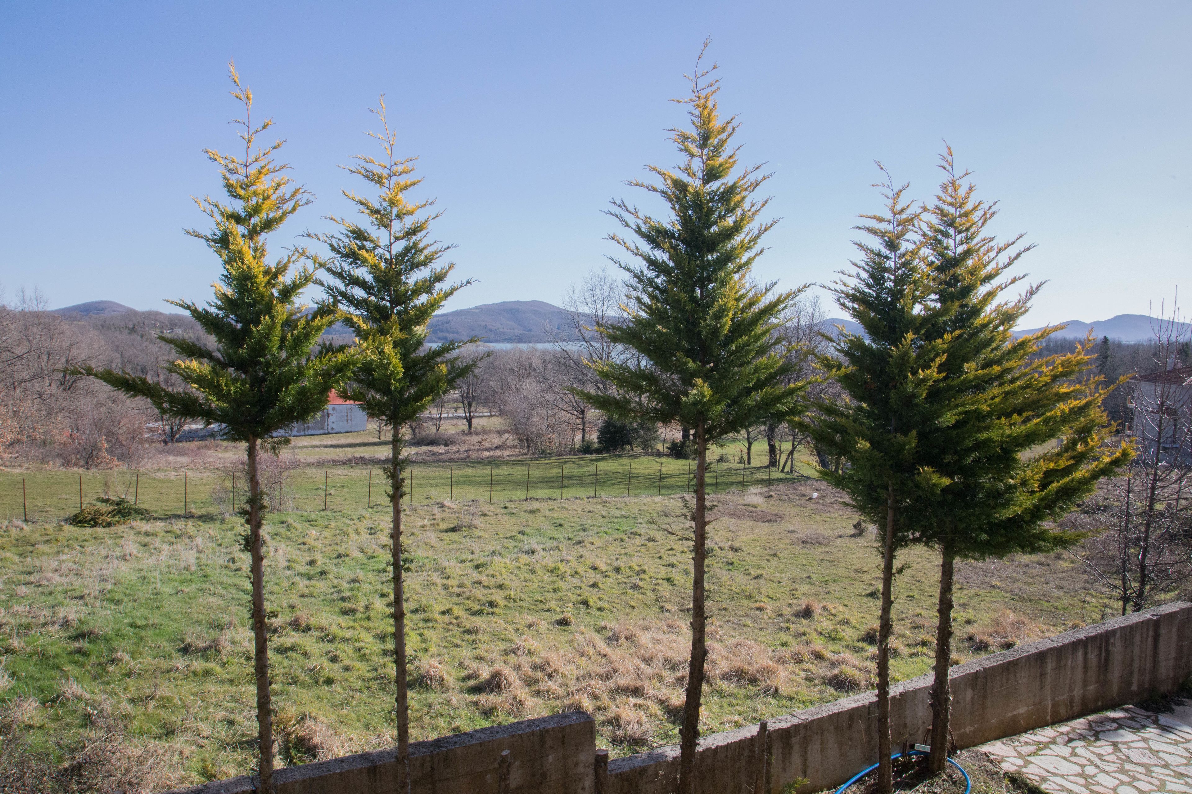 Un espacio al aire libre cercado con tres árboles de coníferas, un campo cubierto de hierba y una cadena montañosa en la distancia.