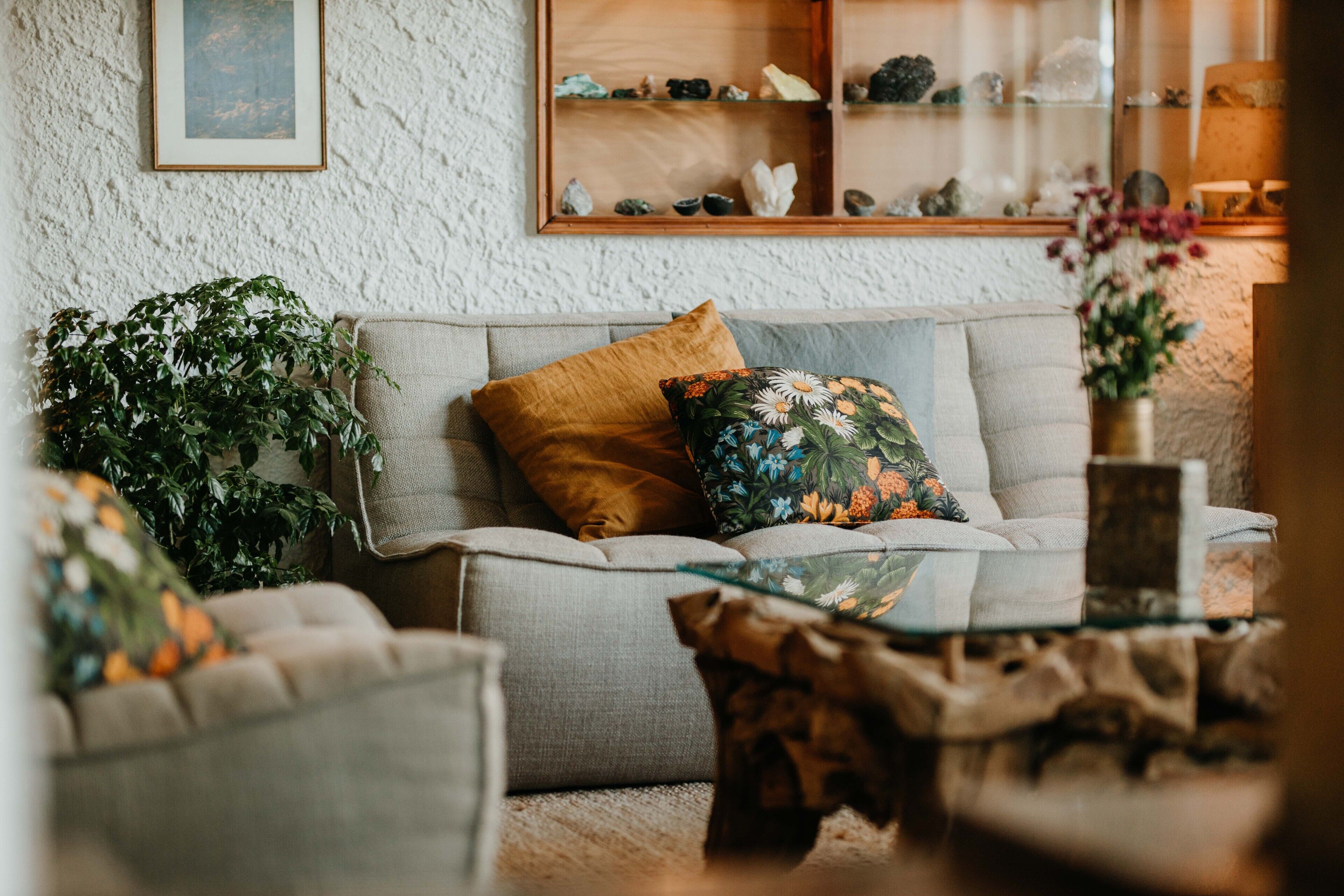 Ein gemütliches Wohnzimmer mit einem grauen Sofa, einem Holztisch und einer Topfpflanze.