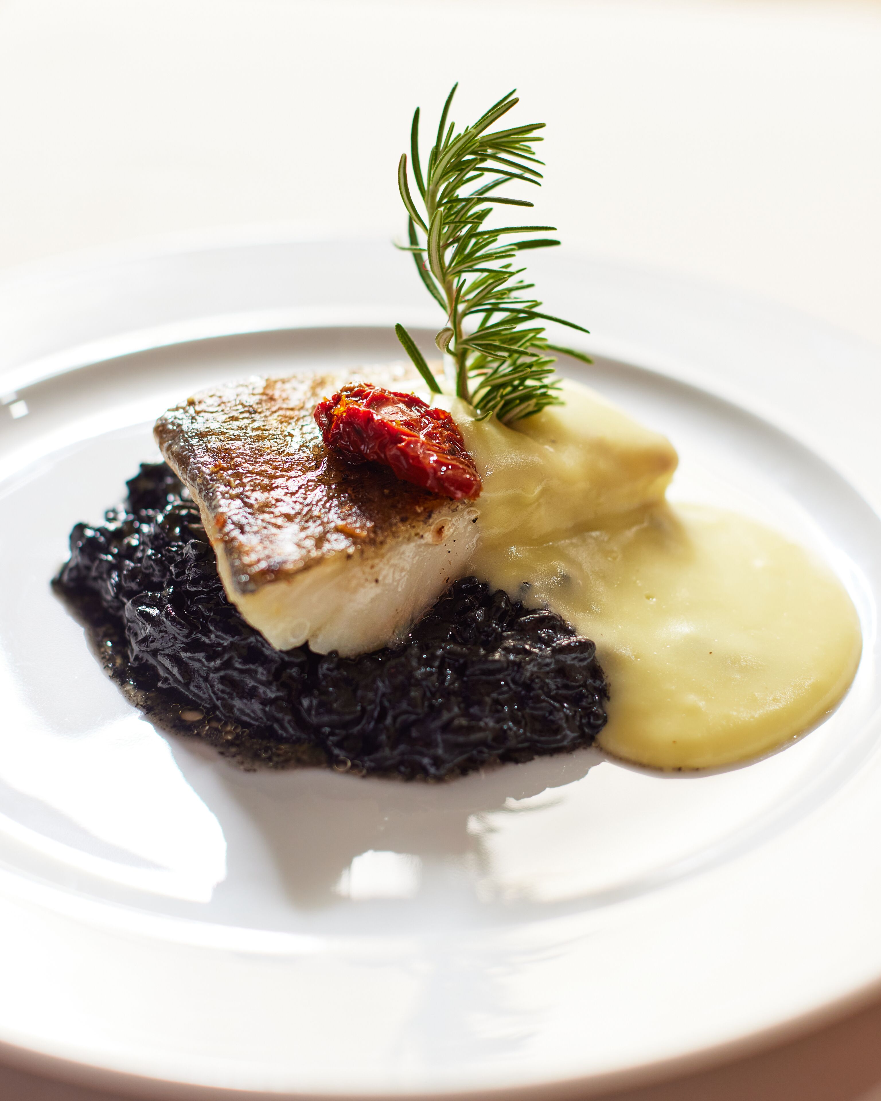 Une assiette blanche sur laquelle repose un morceau de poisson nappé d’une sauce rouge, accompagné d’une purée foncée et d’une quenelle de sauce jaune, le tout garni d’une branche de romarin.