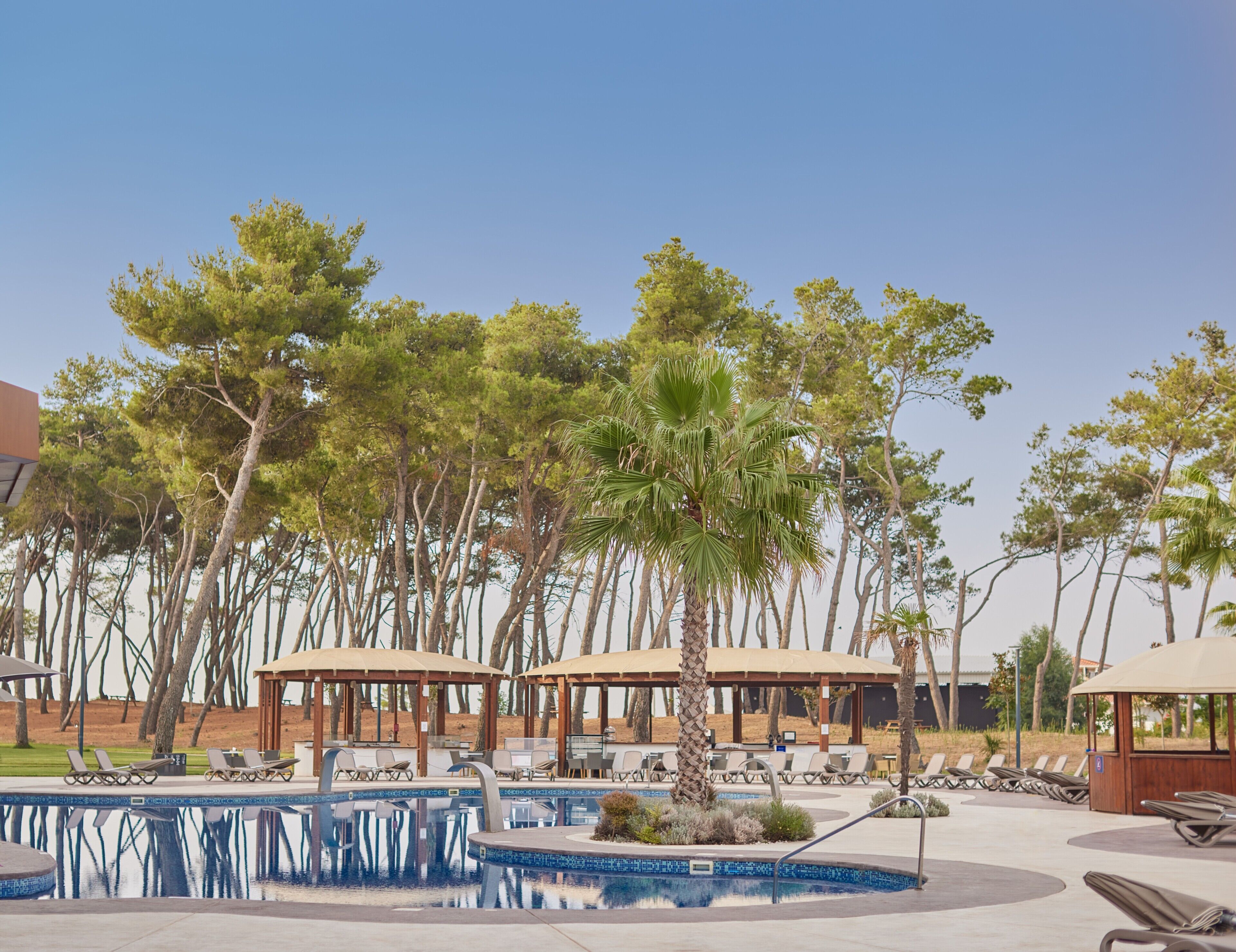 A pool area with lounge chairs, a palm tree, and a gazebo.