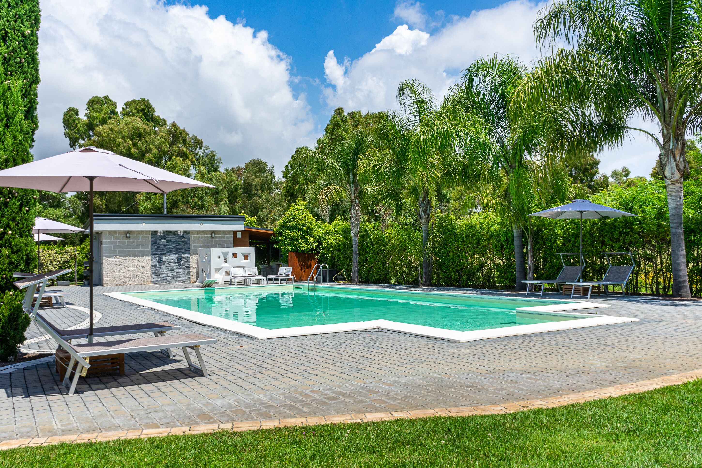 Une piscine entourée d’une végétation luxuriante et d’arbres, avec des chaises longues et des parasols à proximité.