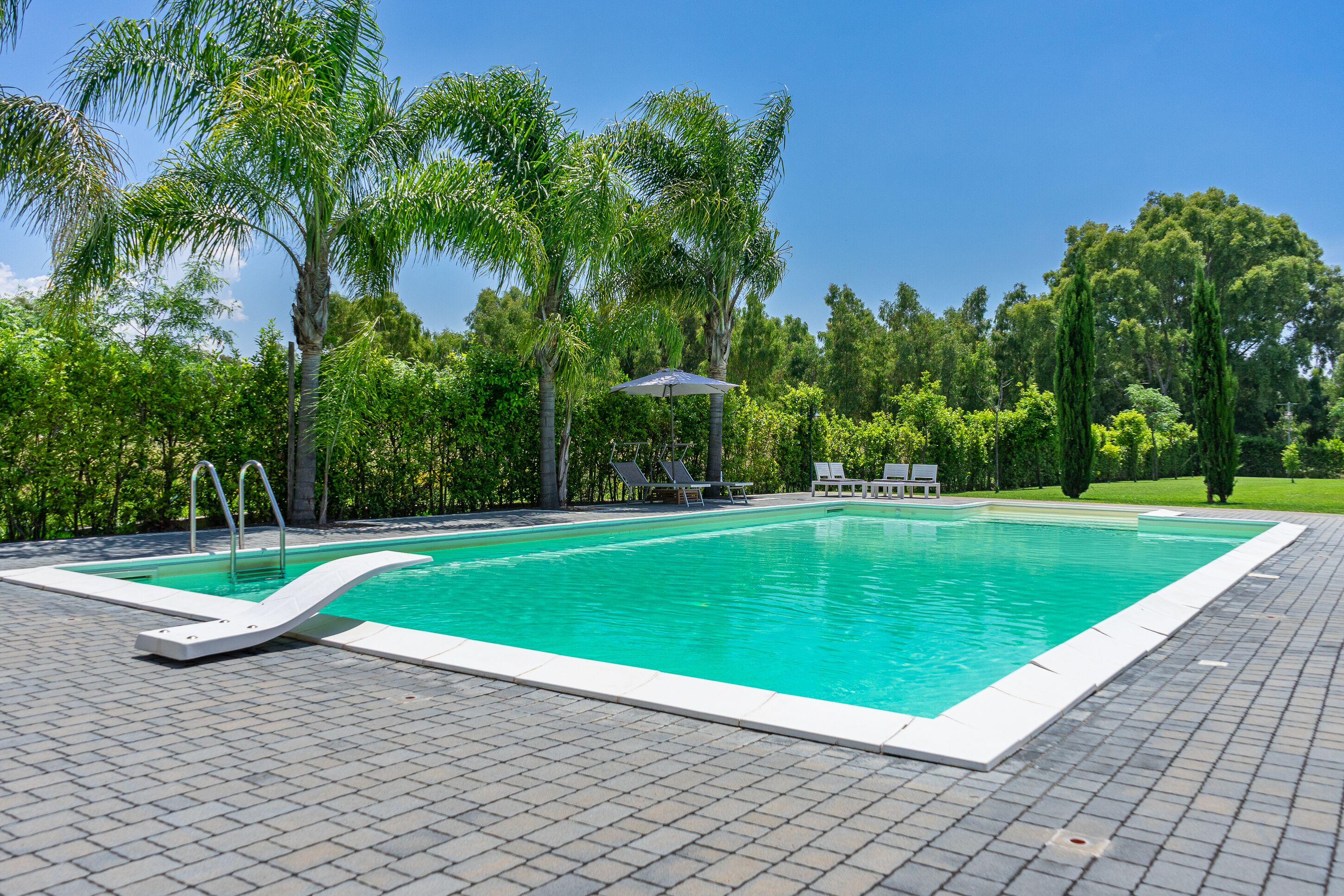 Ein rechteckiger Swimmingpool mit weißem Rand, umgeben von einer gepflasterten Terrasse.