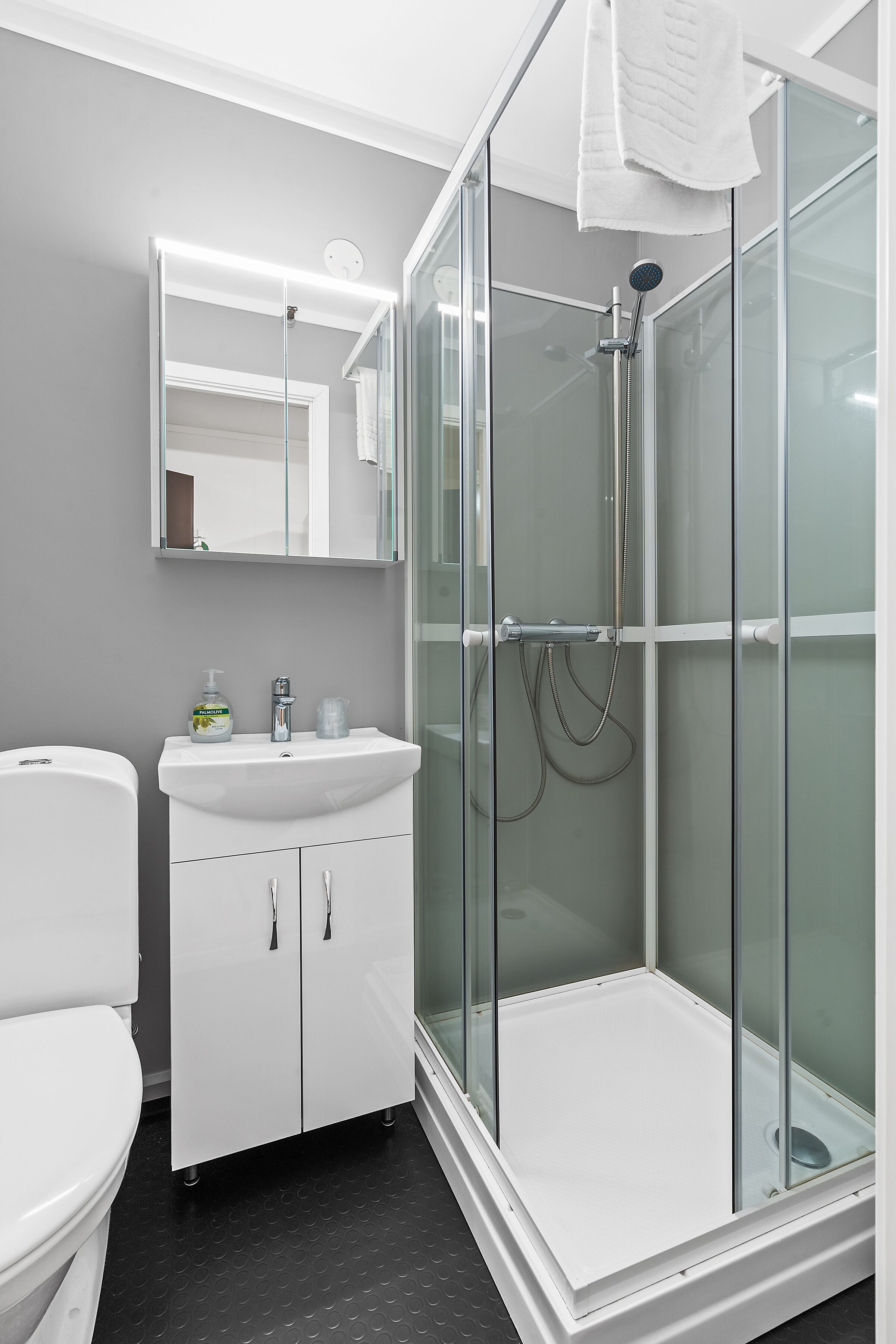 Een moderne badkamer met een douchecabine van glas, een wit wastafelmeubel en een toilet.
