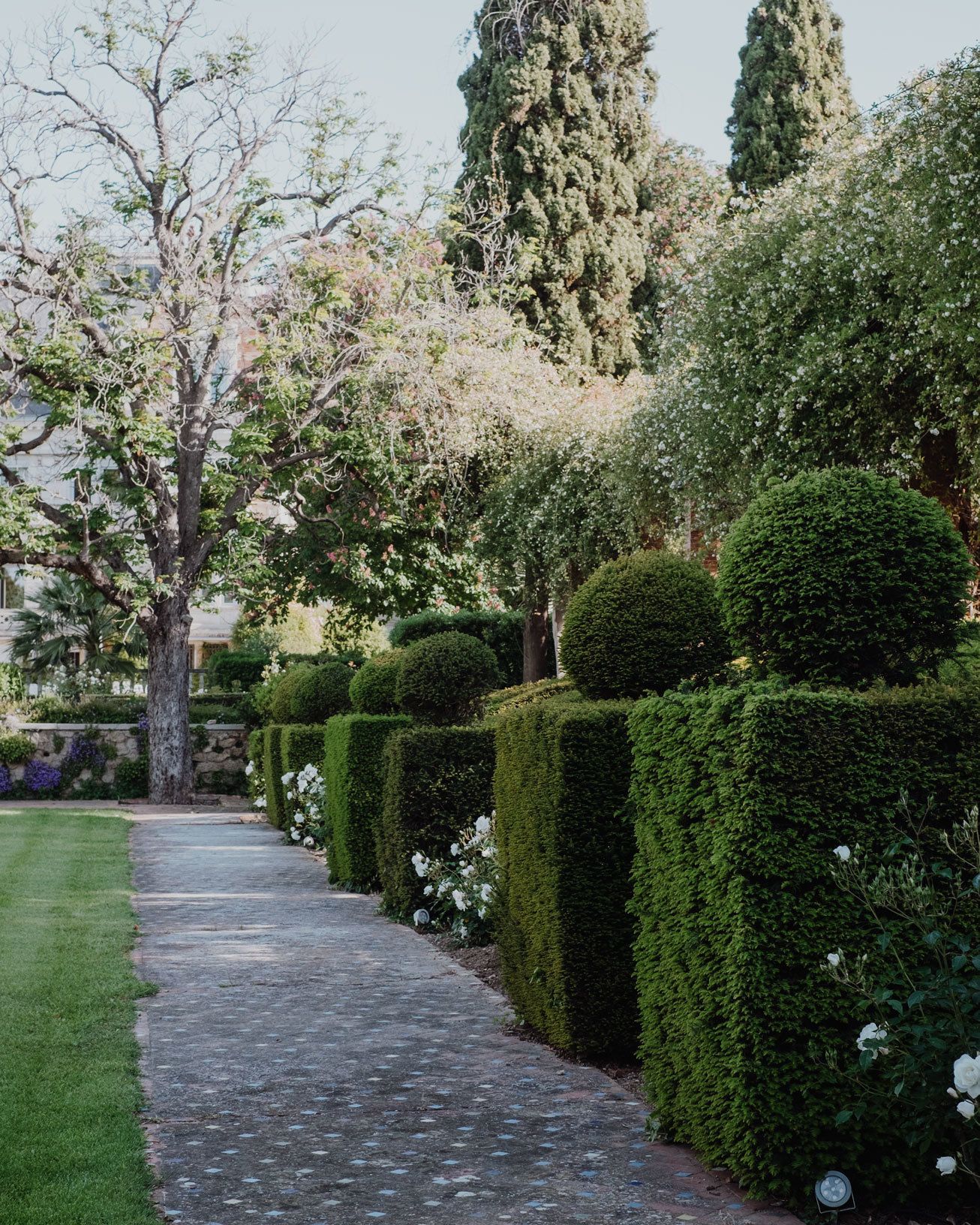 Foto - La Villa Guy & Spa - Teritoria