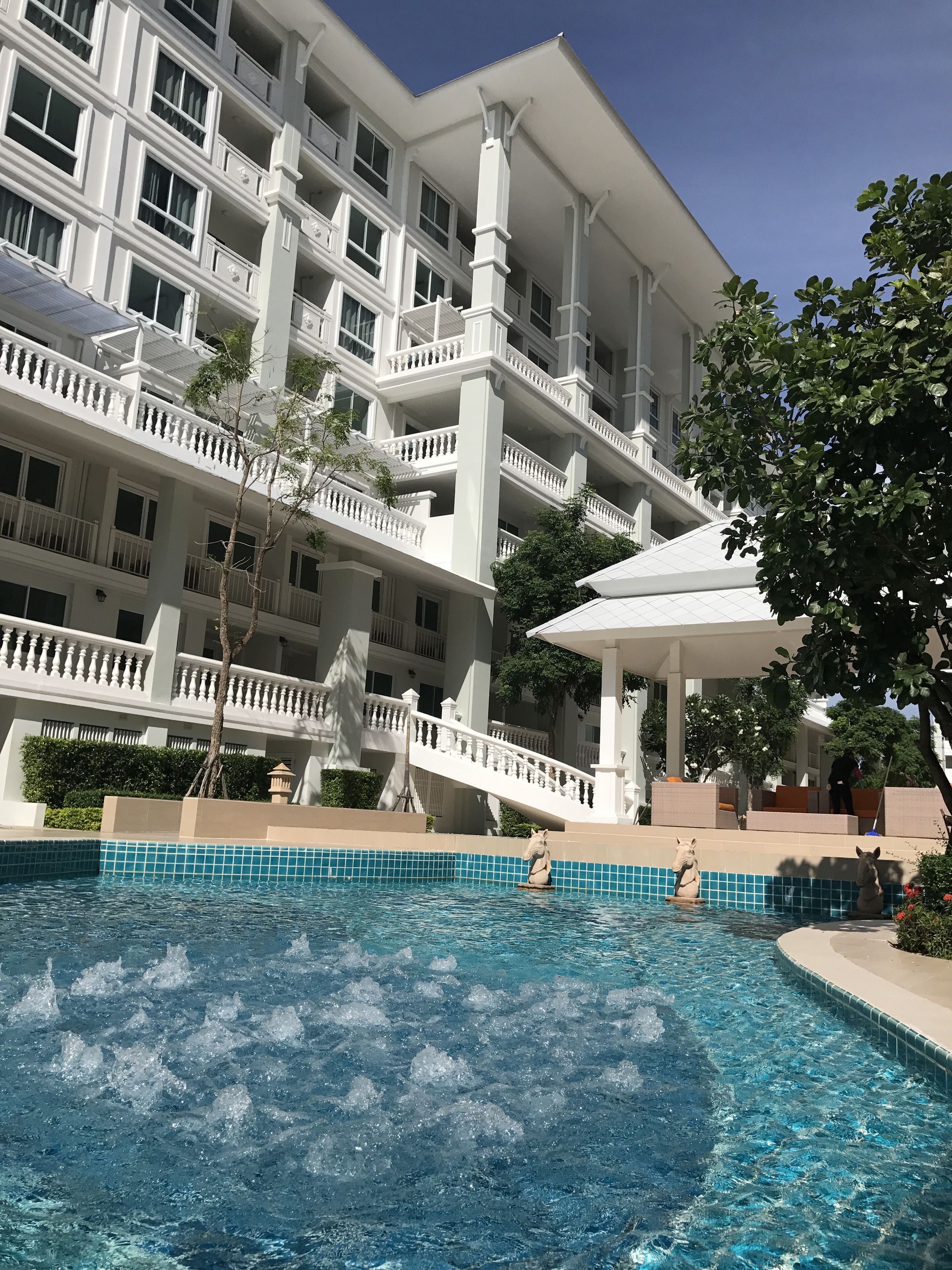 Outdoor pool, sun loungers