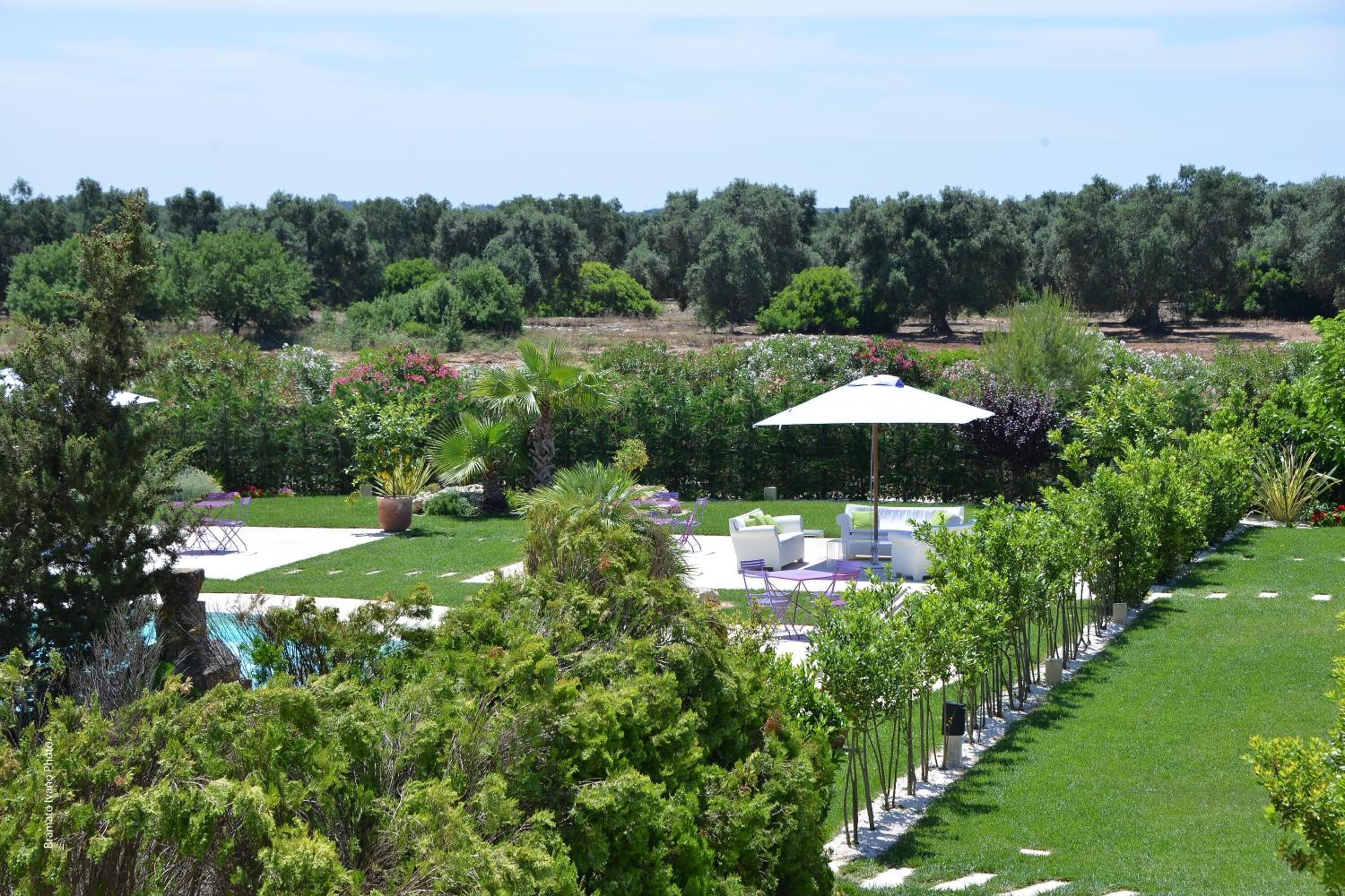 Un jardin bien entretenu, doté d’une piscine, d’un espace salon extérieur et d’une rangée d’arbres.