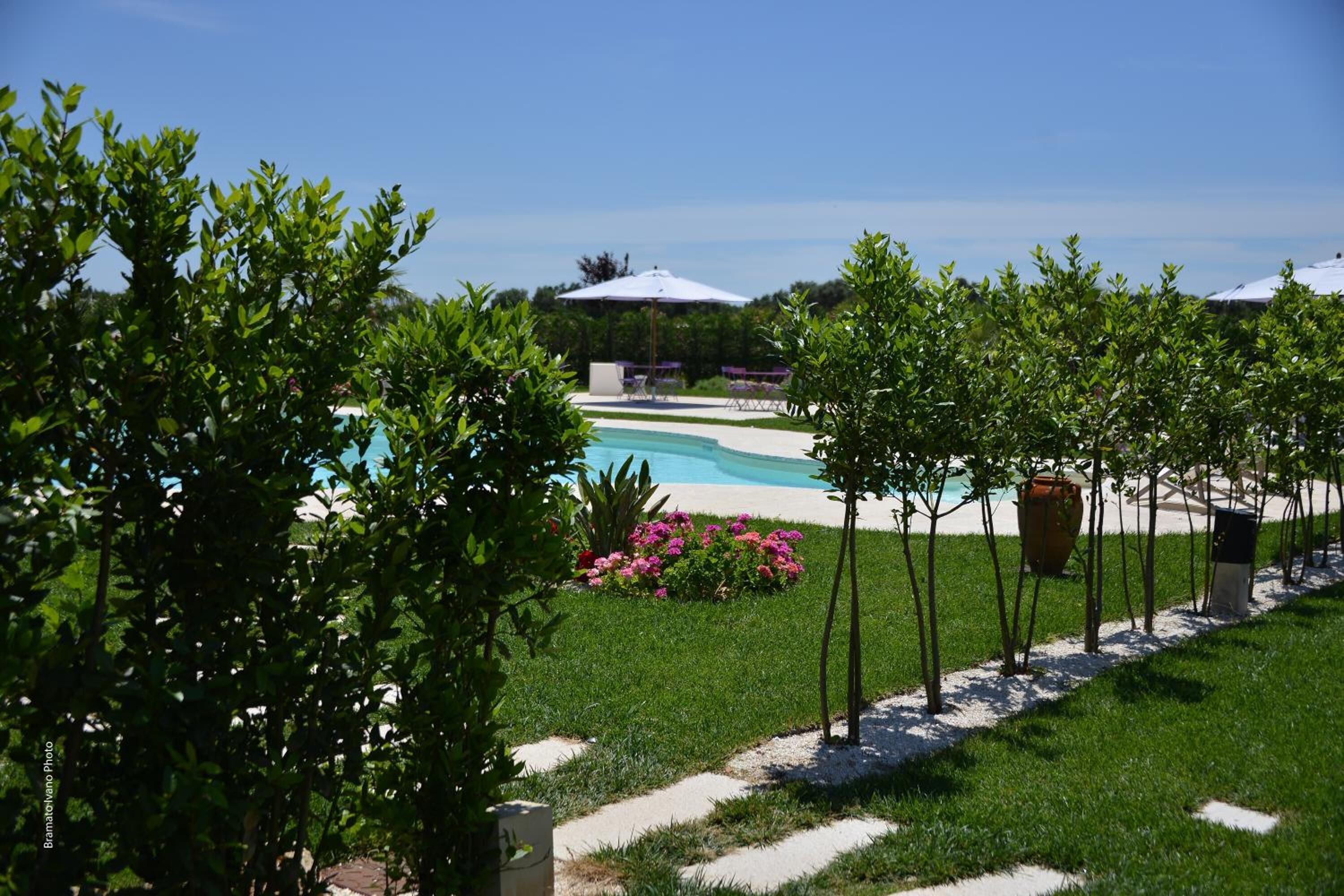 A pool area with a clear sky, surrounded by greenery and a pathway.