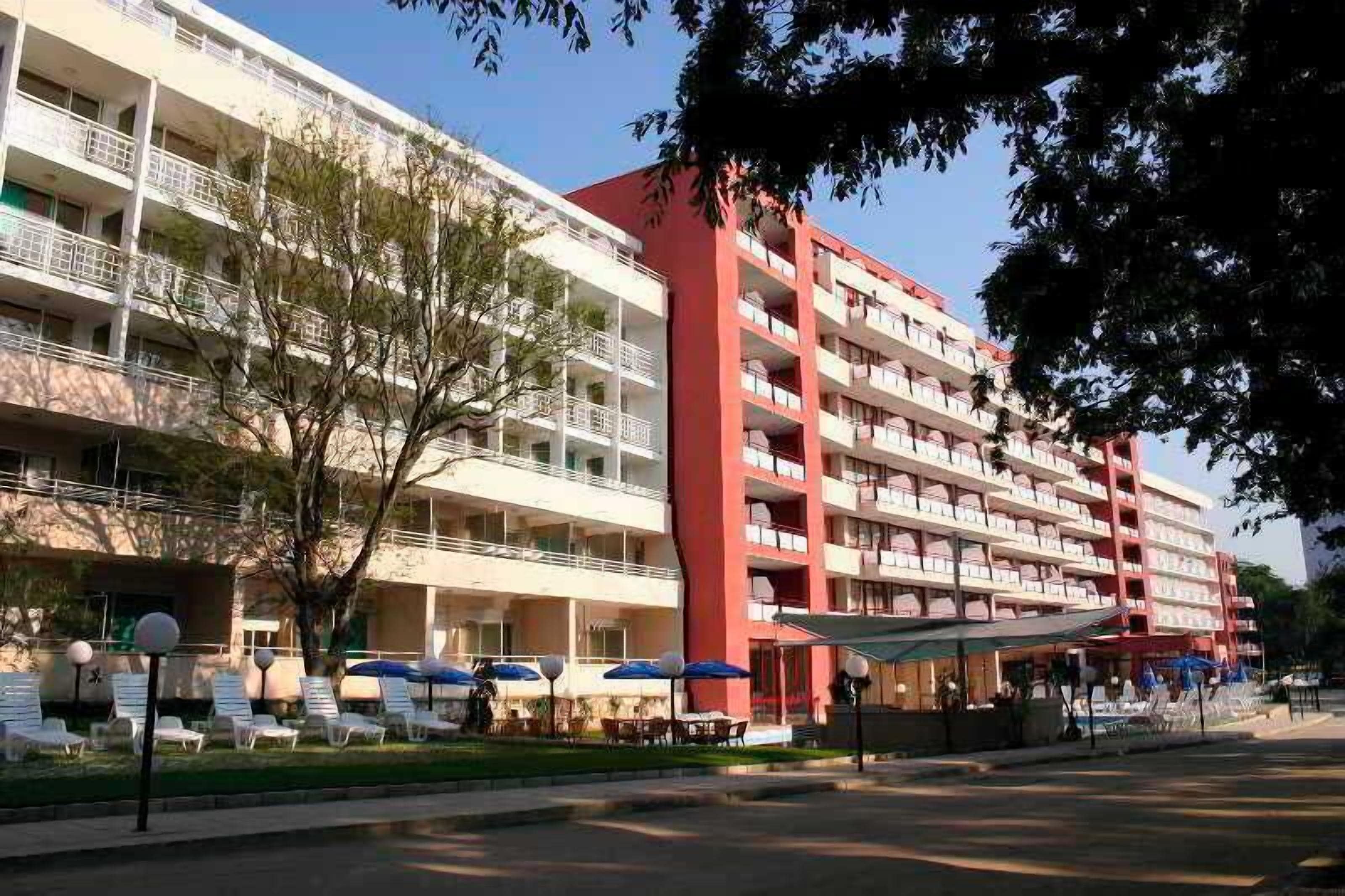 Foto - Hotel Gladiola Star