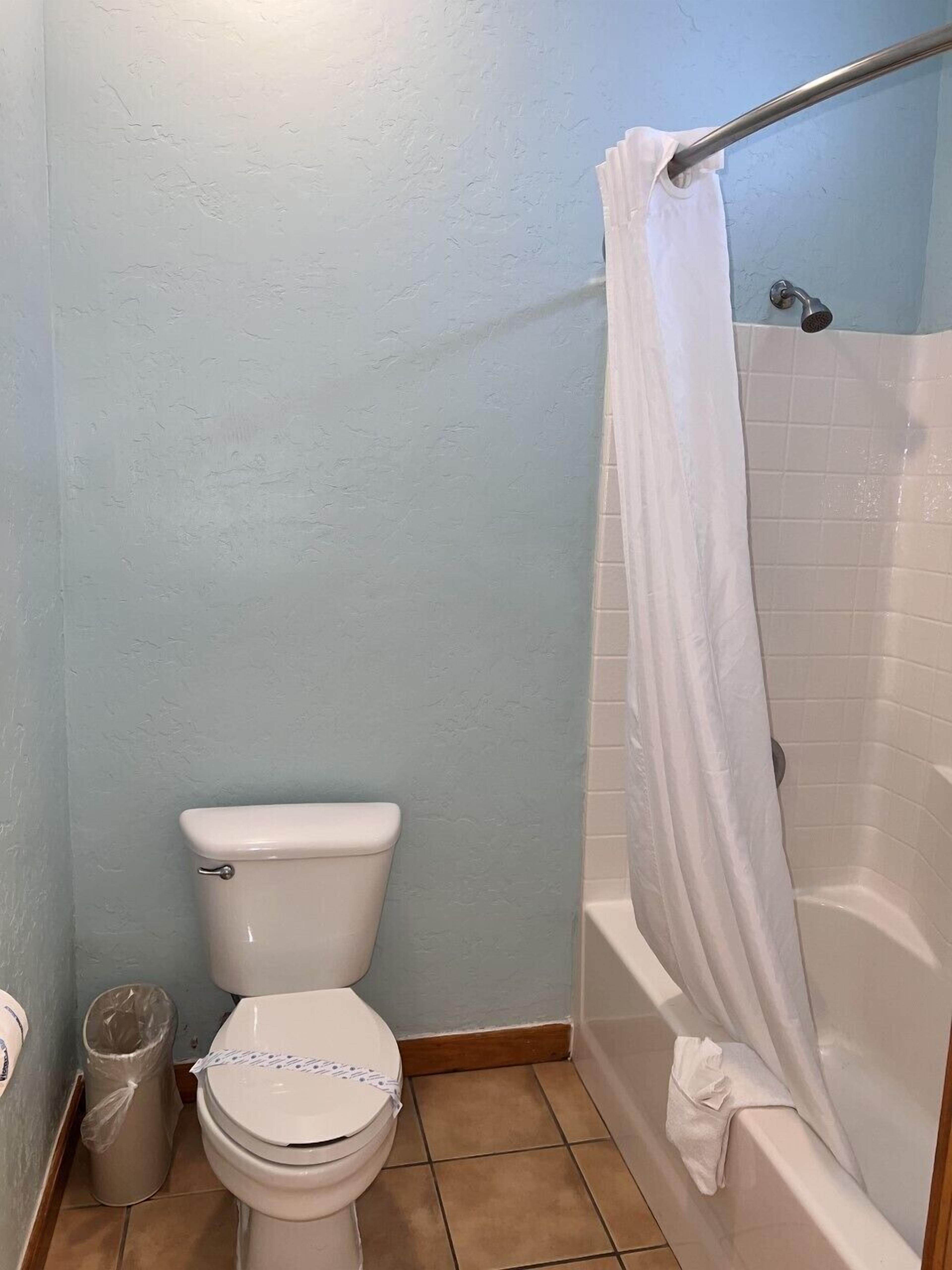 A bathroom with a toilet, a trash can, and a shower area with a curtain.