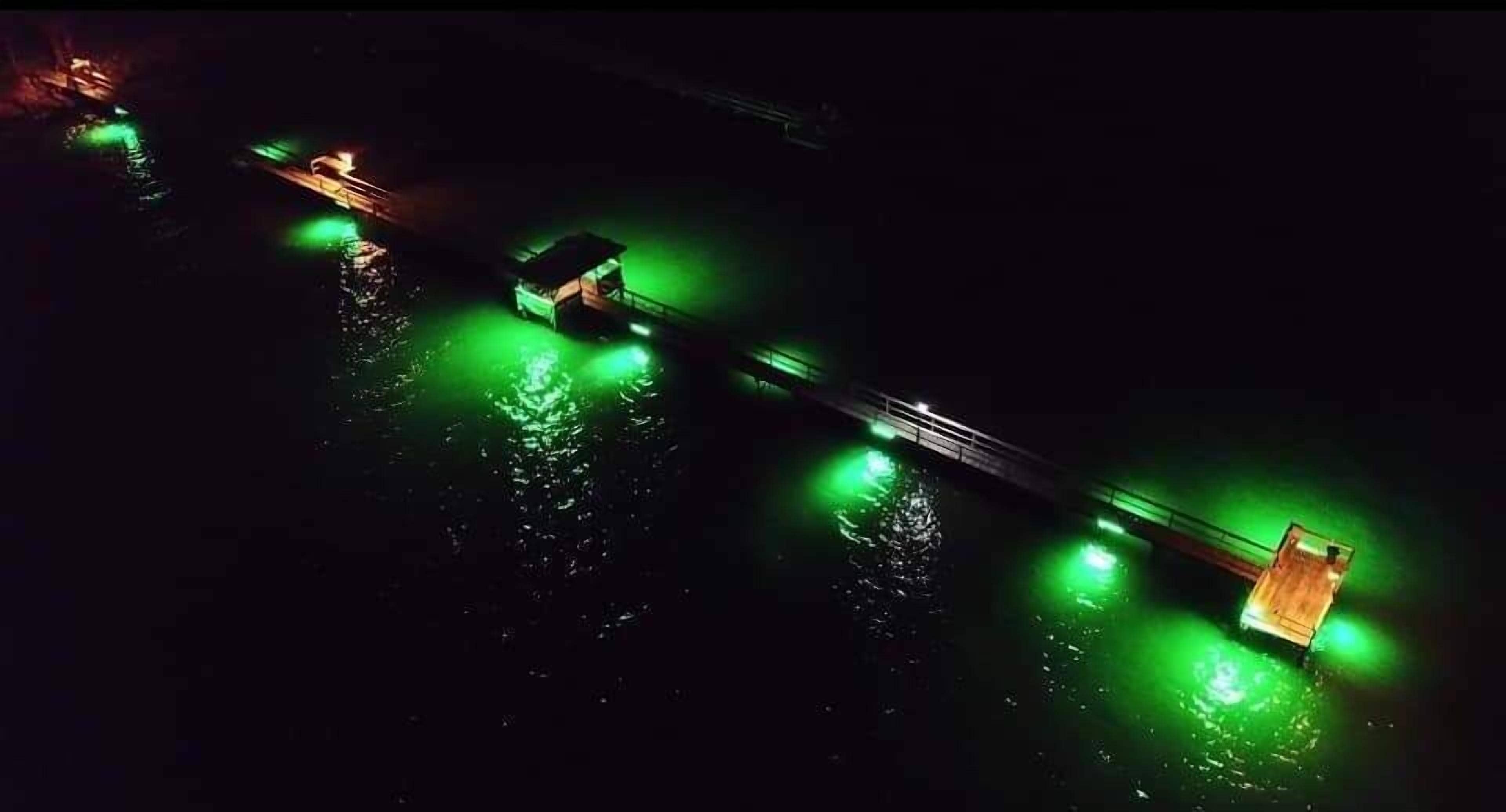 A nighttime view of a bridge with green lights reflecting on the water.