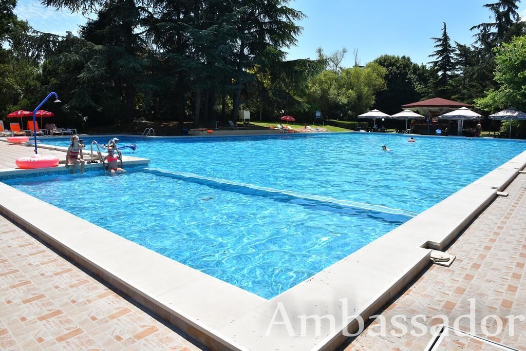Ein rechteckiger Pool mit klarem, blauem Wasser, umgeben von einer gefliesten Terrasse.