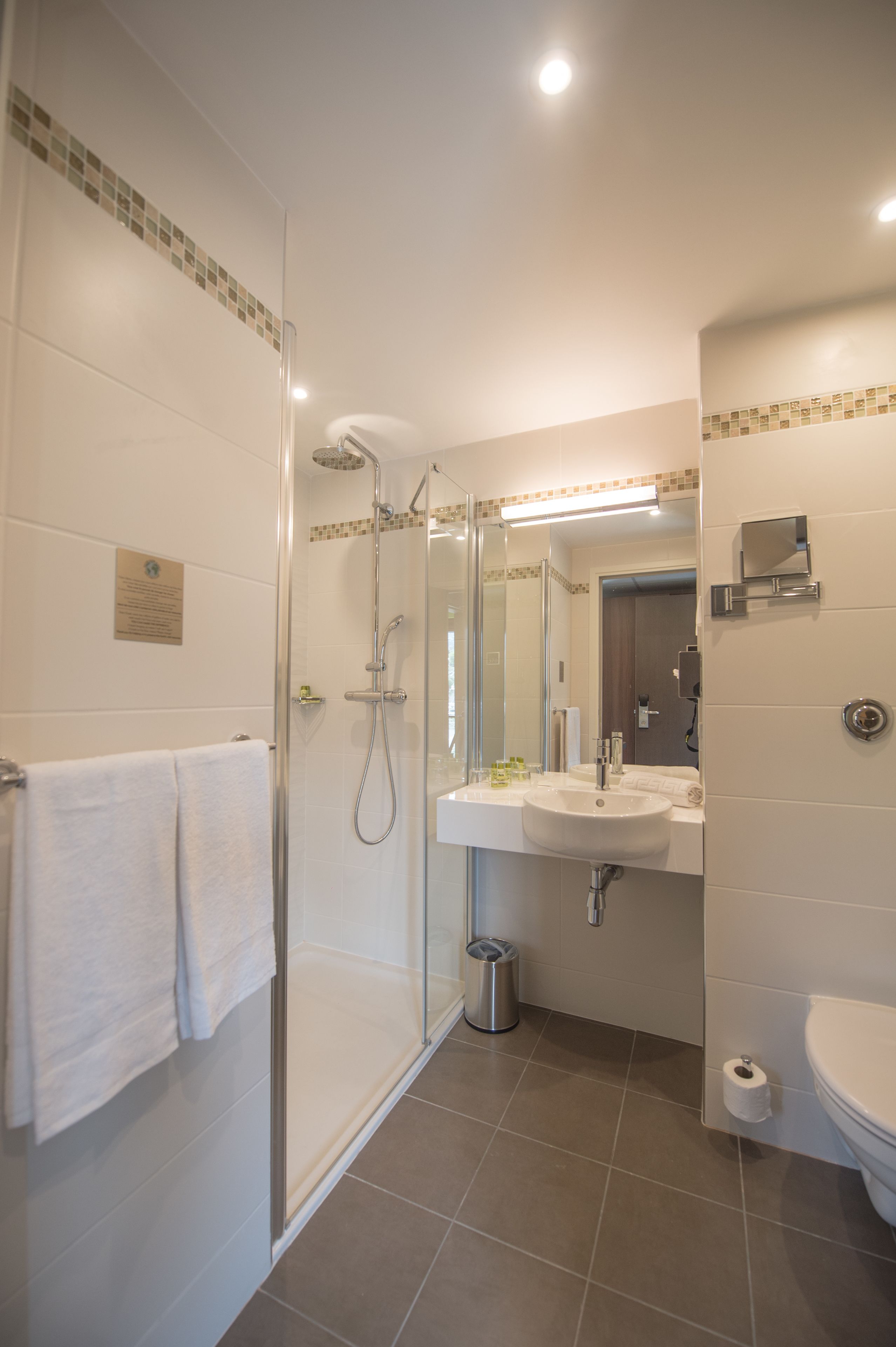 superior double room | bathroom shower