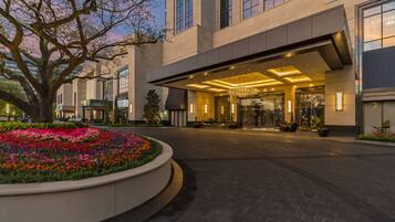 A modern hotel entrance with a landscaped garden and a large tree.