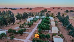 Ein Wüstencamp mit in Reih und Glied angeordneten Zelten, umgeben von vereinzelter Vegetation und Sanddünen.