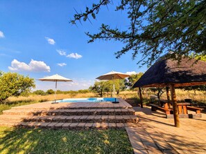 A pool area with steps leading to the water, surrounded by trees and a thatched-roof structure.