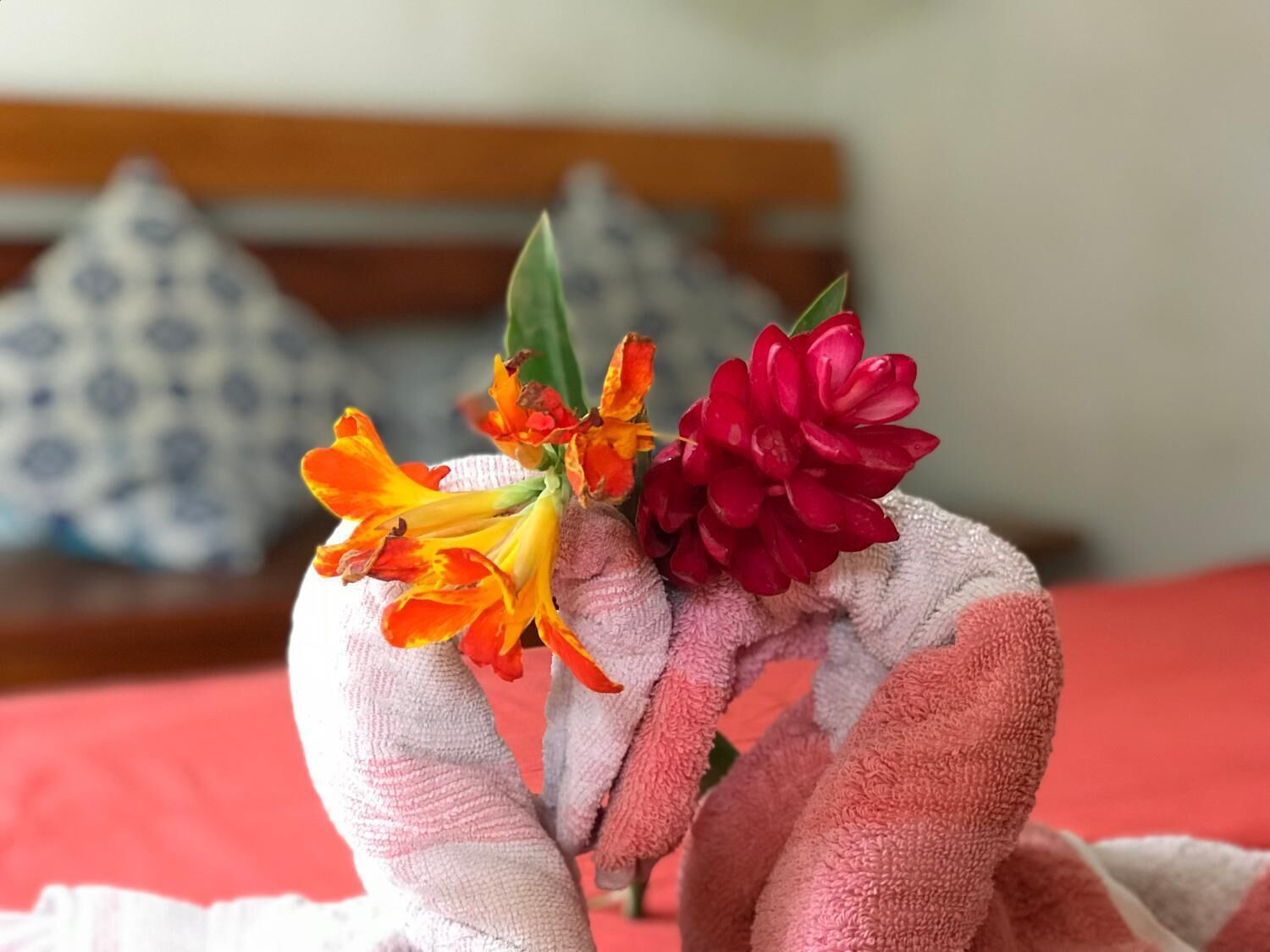 A hand holding a bouquet of flowers, with a patterned pillow and a red bedspread in the background.