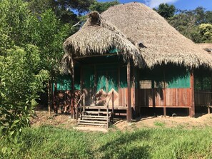 Exterior - Ayahuaska (Sauce)