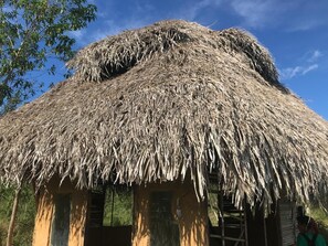 A thatched-roof hut with a simple, open structure and a single visible door.