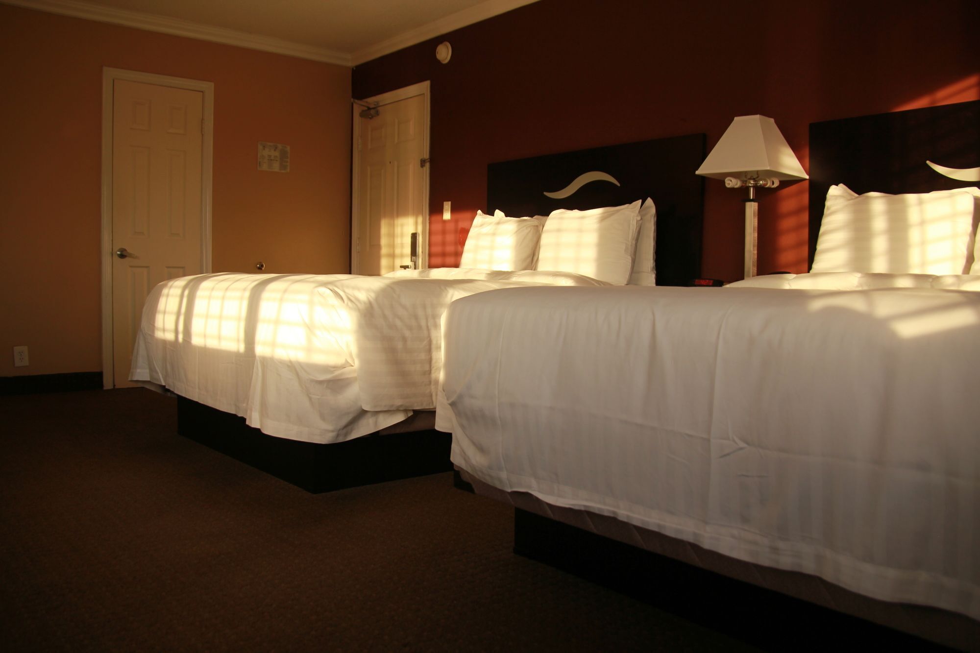 Foto - Dusk Hotel Hollywood