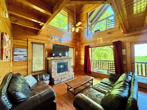 Smart-tv, pejs, videospil, videobibliotek