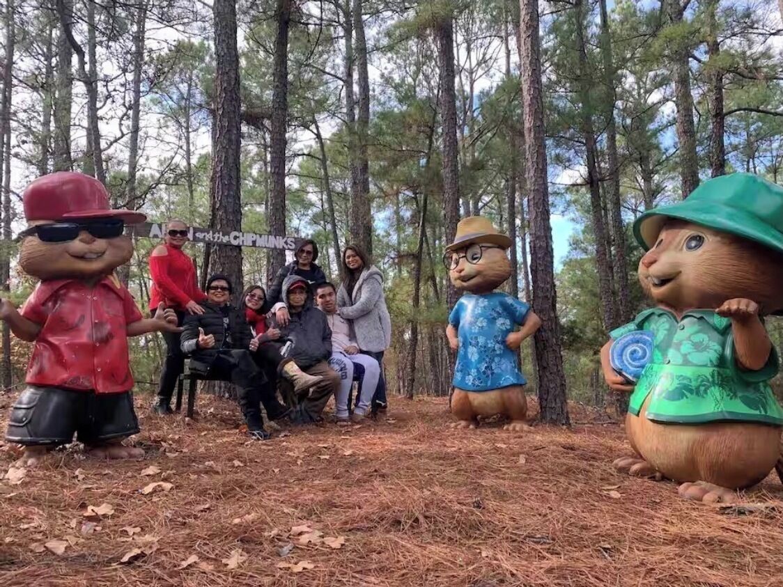Diverse