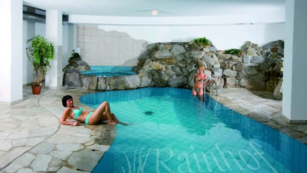 An indoor swimming pool with a stone wall and a potted plant. - Hotel Rainhof (Senales)