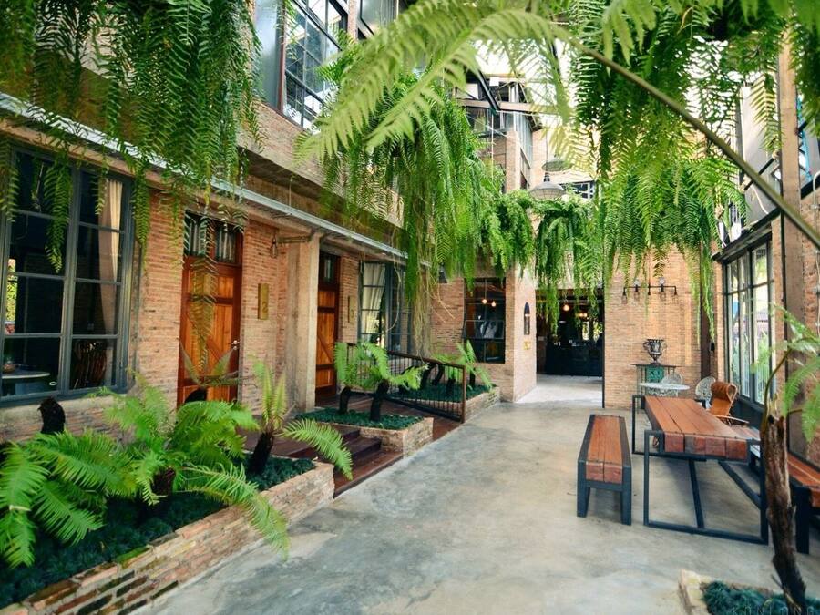 Un patio interior con paredes de ladrillo, ventanas amplias y abundante vegetación, incluyendo helechos.