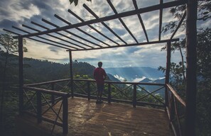 山景
