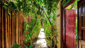 Un sendero estrecho bordeado por bambú y abundante follaje, que conduce a una puerta roja.