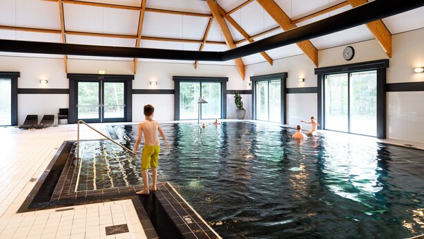 An indoor swimming pool with wooden beams, large windows, and a clock on the wall. - Hotel Nederheide (Milheeze)